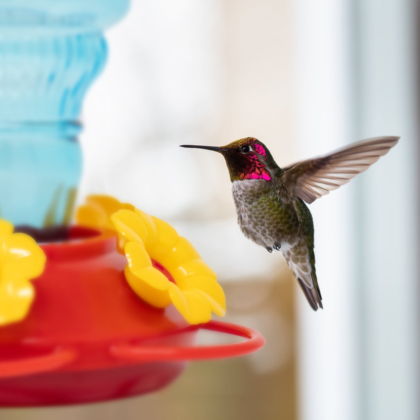 Superior Effect Antique Glass Decorative Hummingbird Feeder