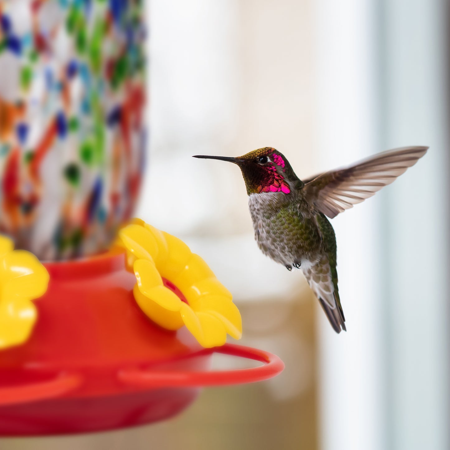 Superior Effect Hand Blown Glass Decorative Hummingbird Feeder